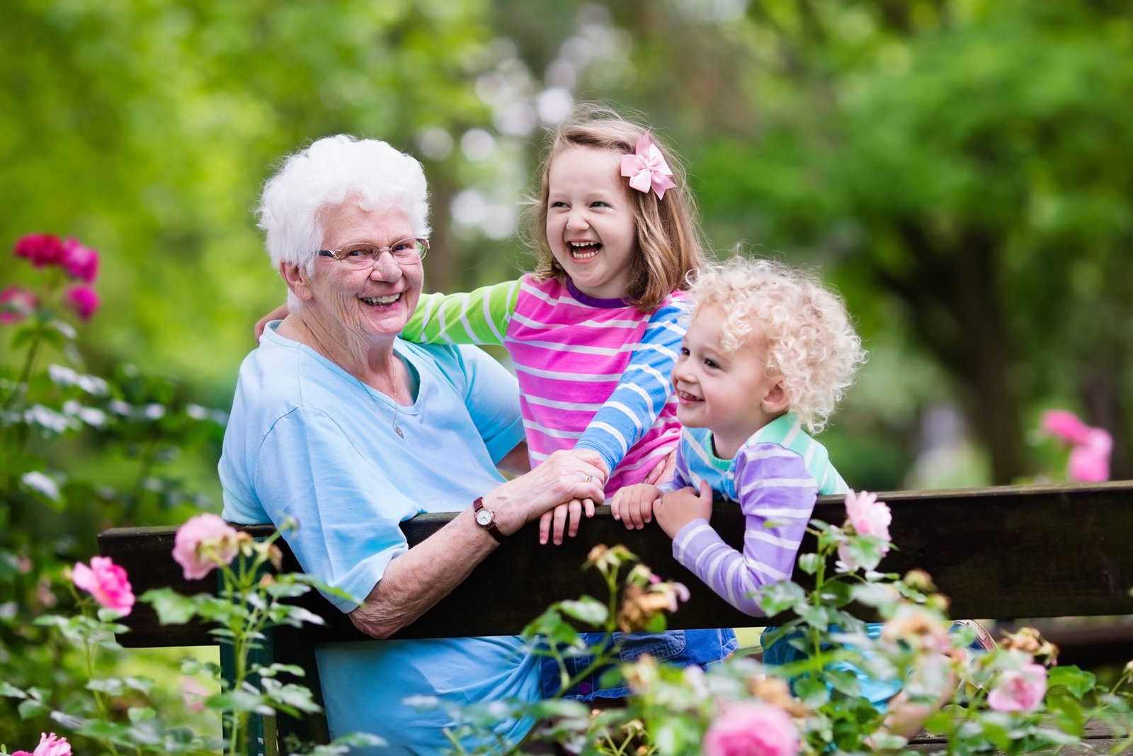 Happy senior lady playing with little boy and girl in blooming rose garden. Grandmother with grand children sitting on a bench in summer park with beautiful flowers. Kids gardening with grandparent.